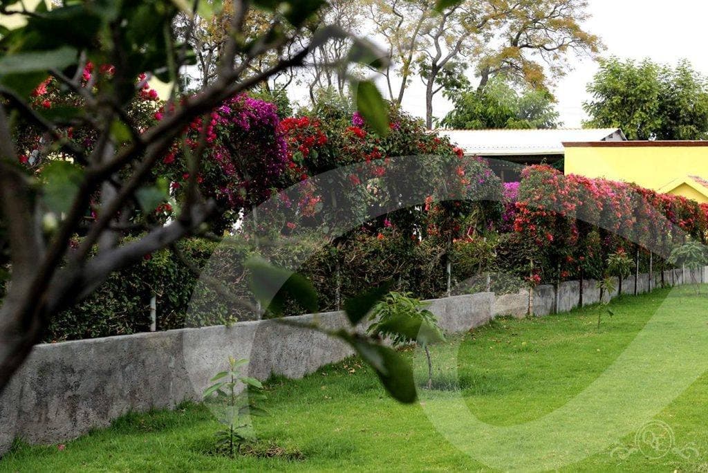 Jardín Bugambilias – Quinta Elena